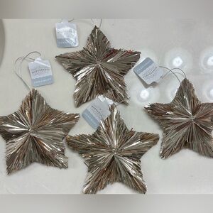 Tinsel Star Ornament Champagne Gold - Wondershop (4 pieces)